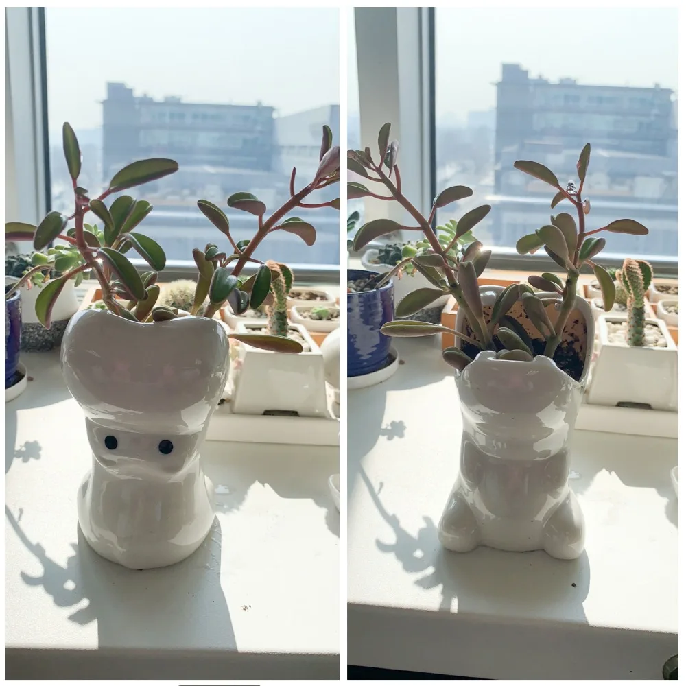 Biała ceramiczna Hippo  doniczka dekoracyjna